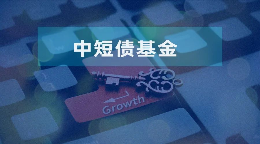 二季度规模增长超50% 中短债券基金缘何受青睐？